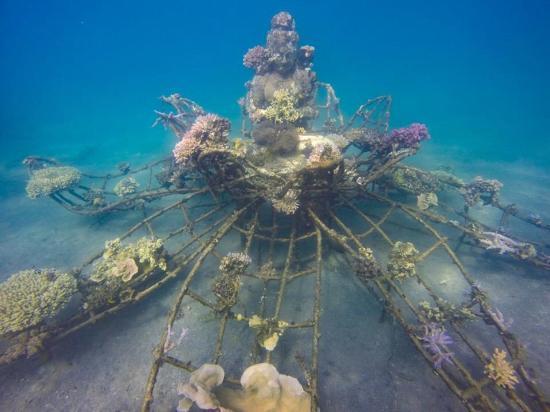 Plongée sous-marine Bio-Rock Pemuteran Bali